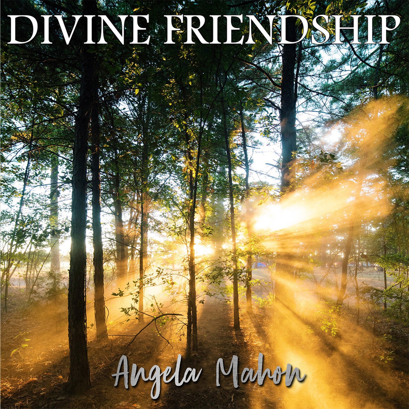 Divine Friendship album download with 10 peaceful Christian songs
