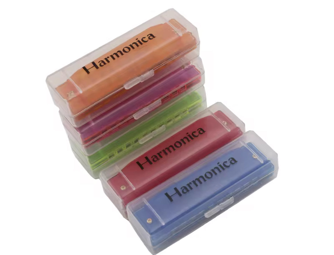 Starter harmonica in protective case