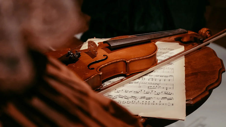 🎻 Violins & Bows