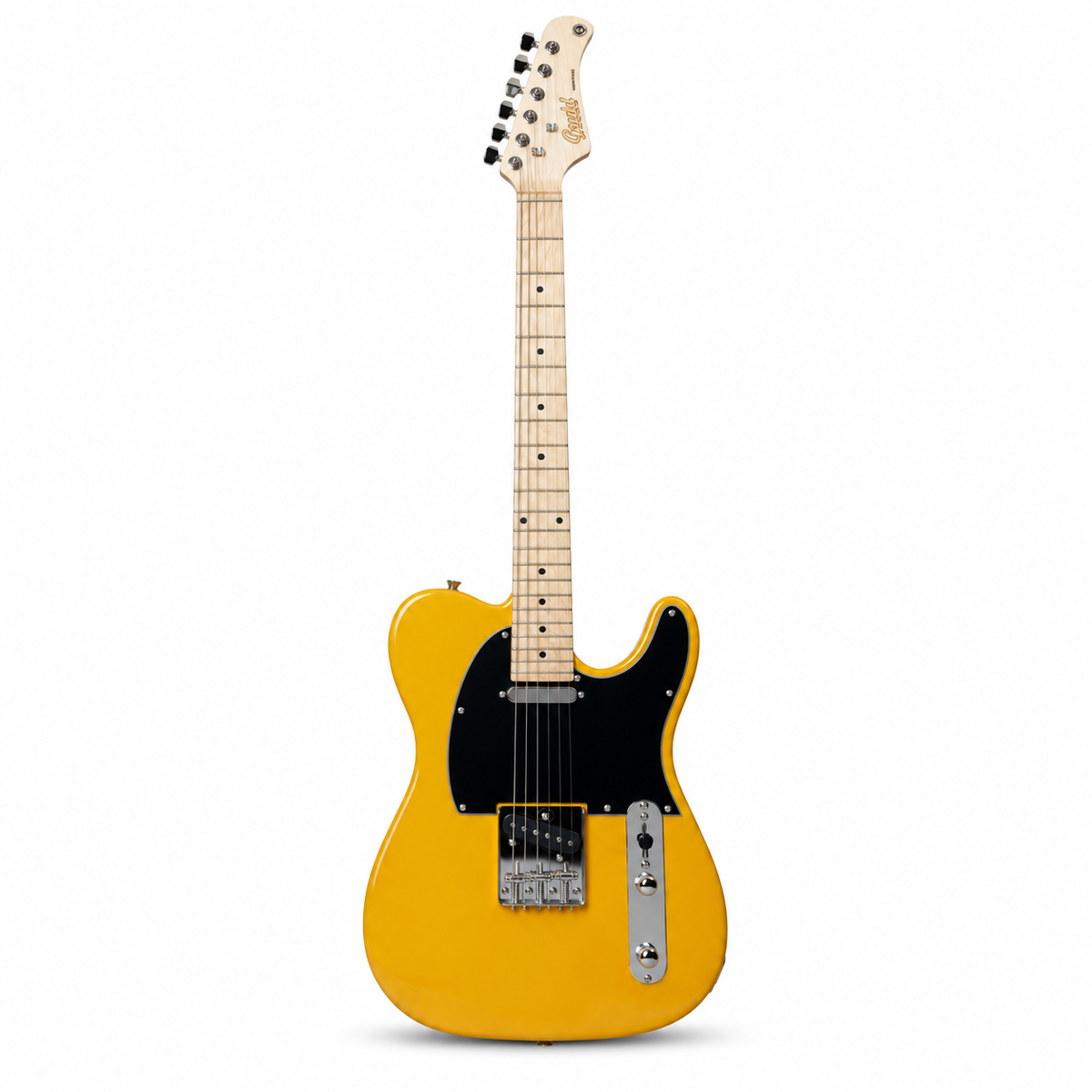 Electric Guitar Starter Pack with Amp & Gig Bag – Gould Tennessee