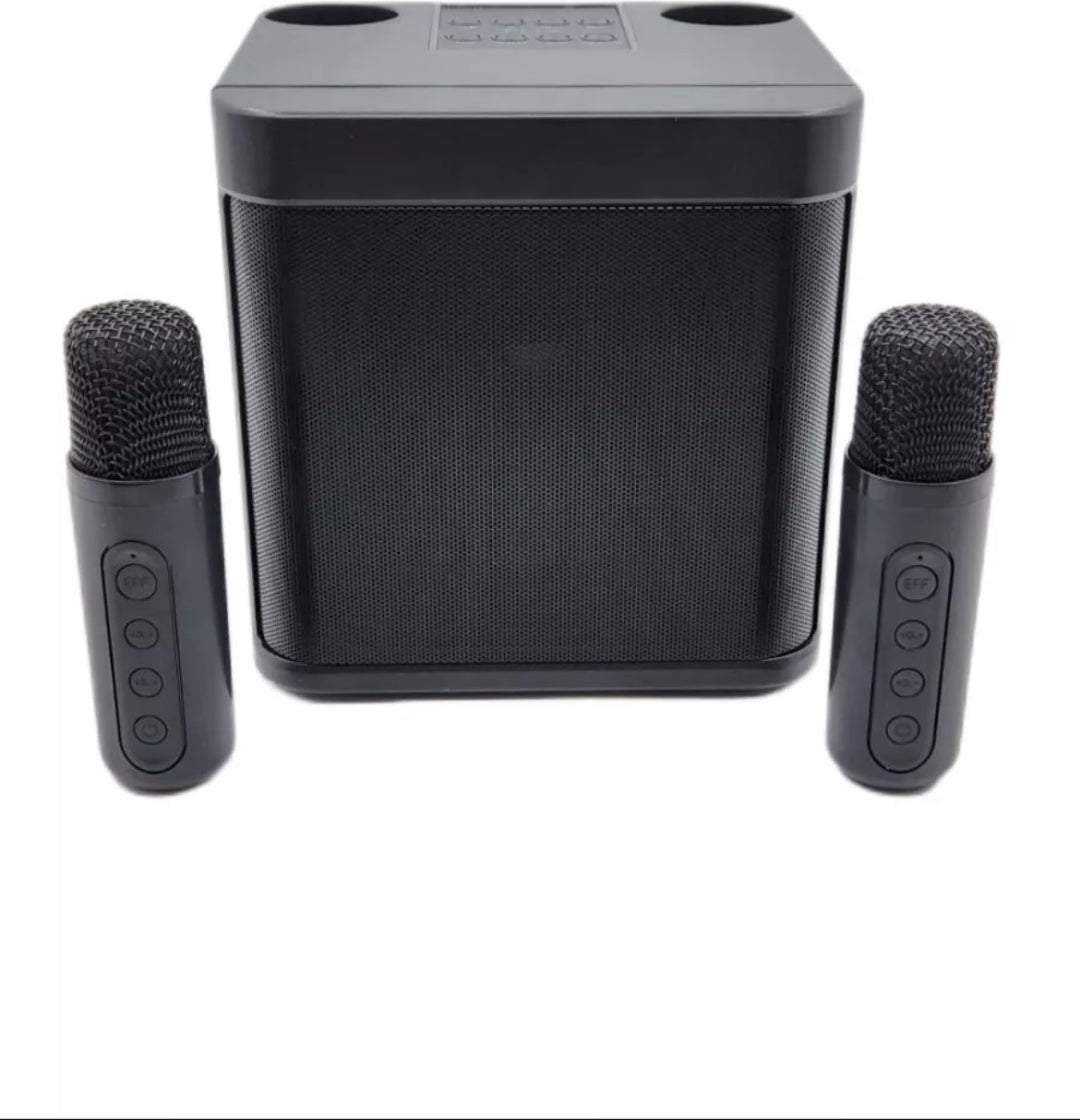 Wireless Bluetooth Karaoke Machine with Speakers and dual microphones