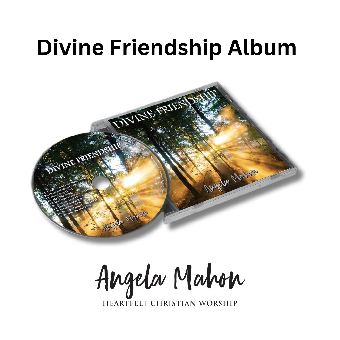 Divine Friendship CD with 10 peaceful Christian songs

