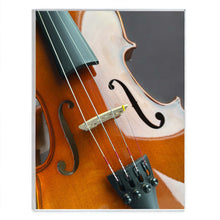 Cargar imagen en el visor de la galería, Fiorillo full-size violin kit for school and music practice



