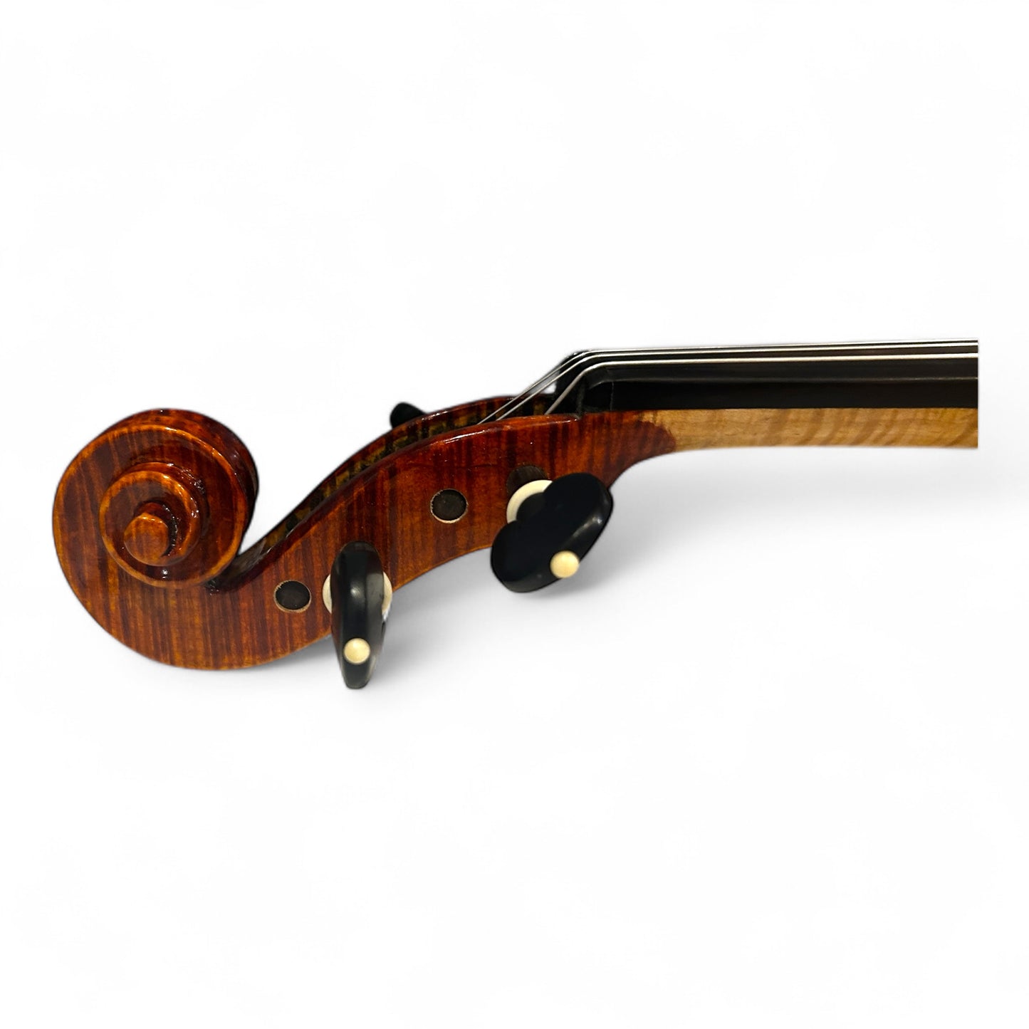 Tartini 4/4 Violin Set (Premium Handmade)