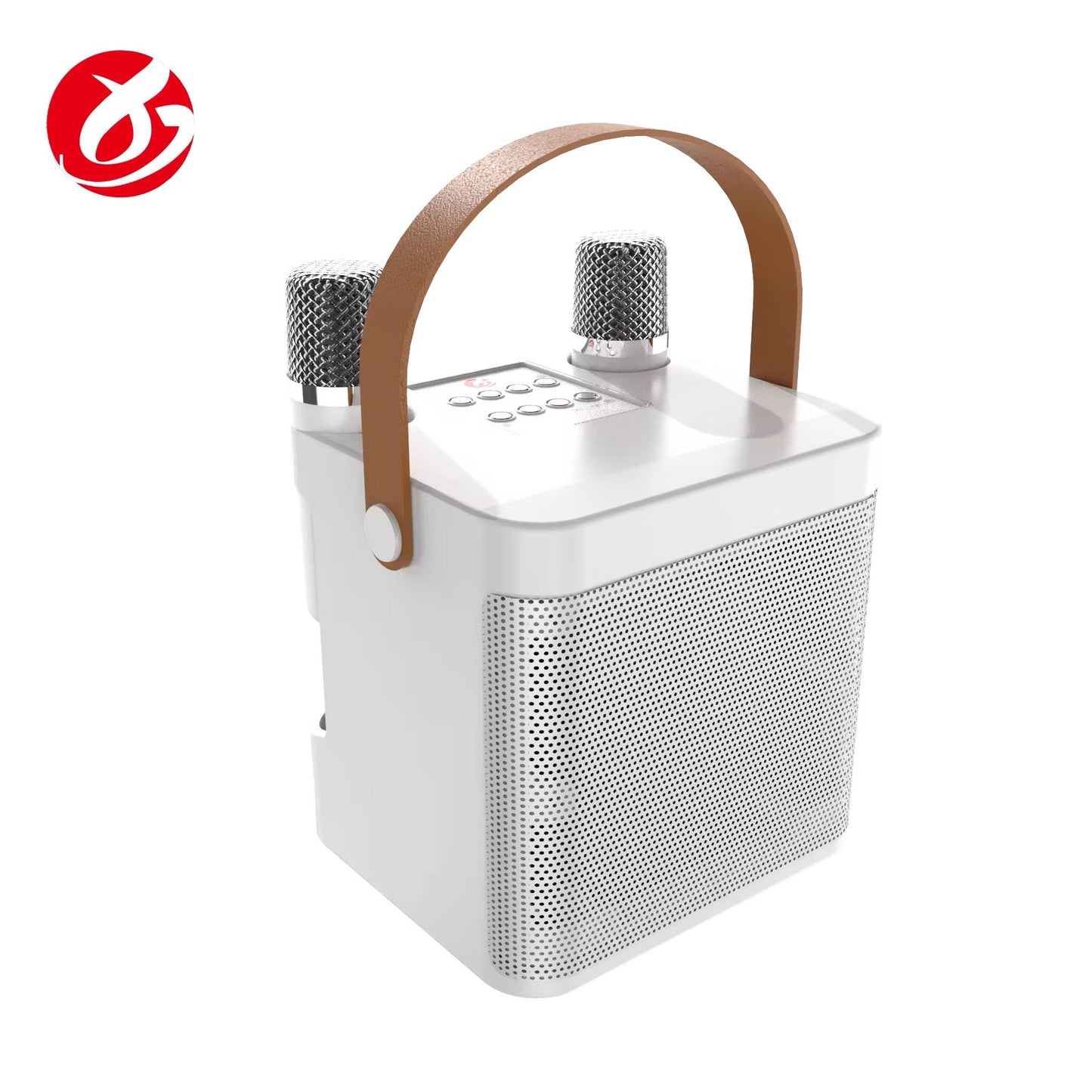 Wireless Bluetooth Karaoke Machine with Speakers and dual microphones