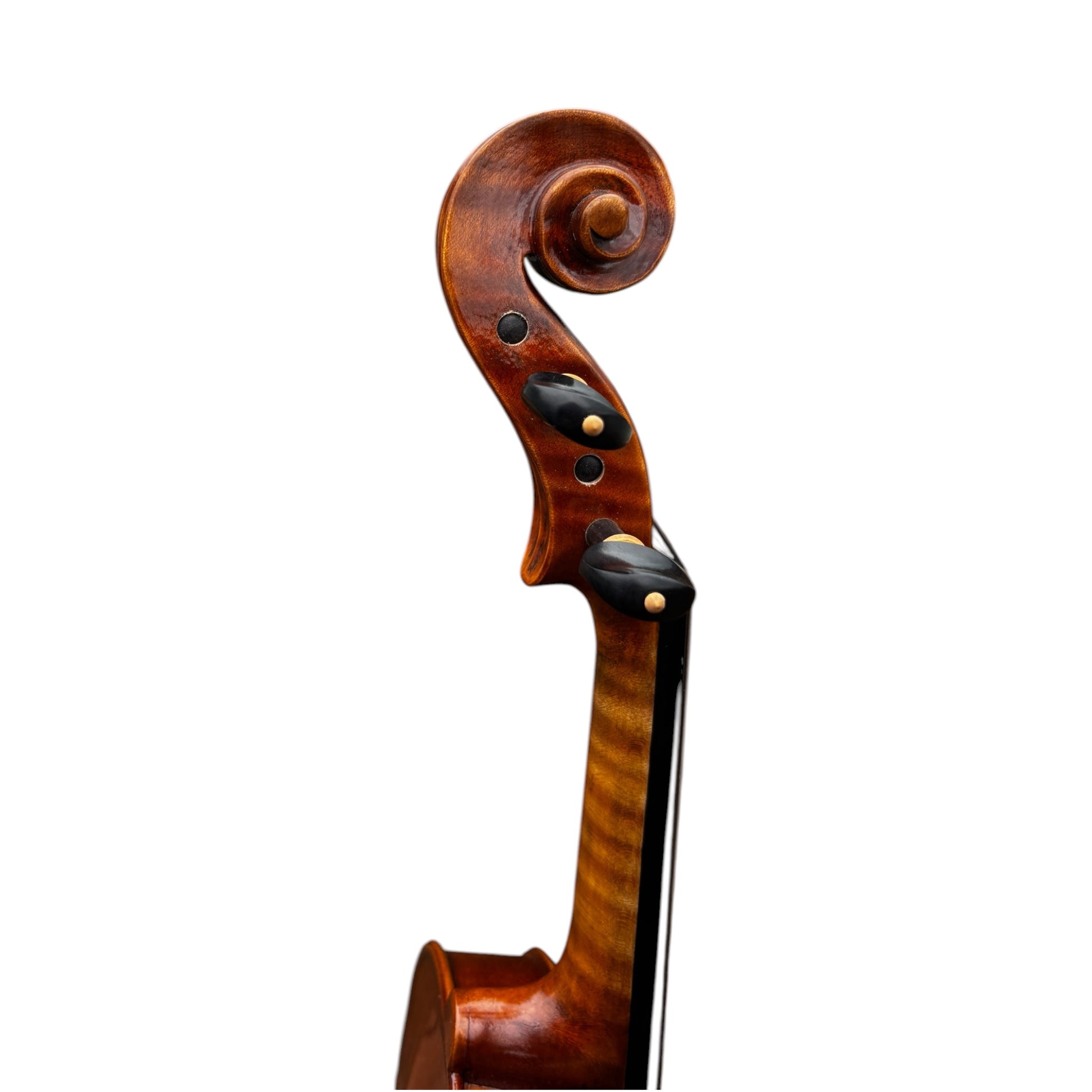 Locatelli 4/4 Violin Set - Kiltra Music Shop