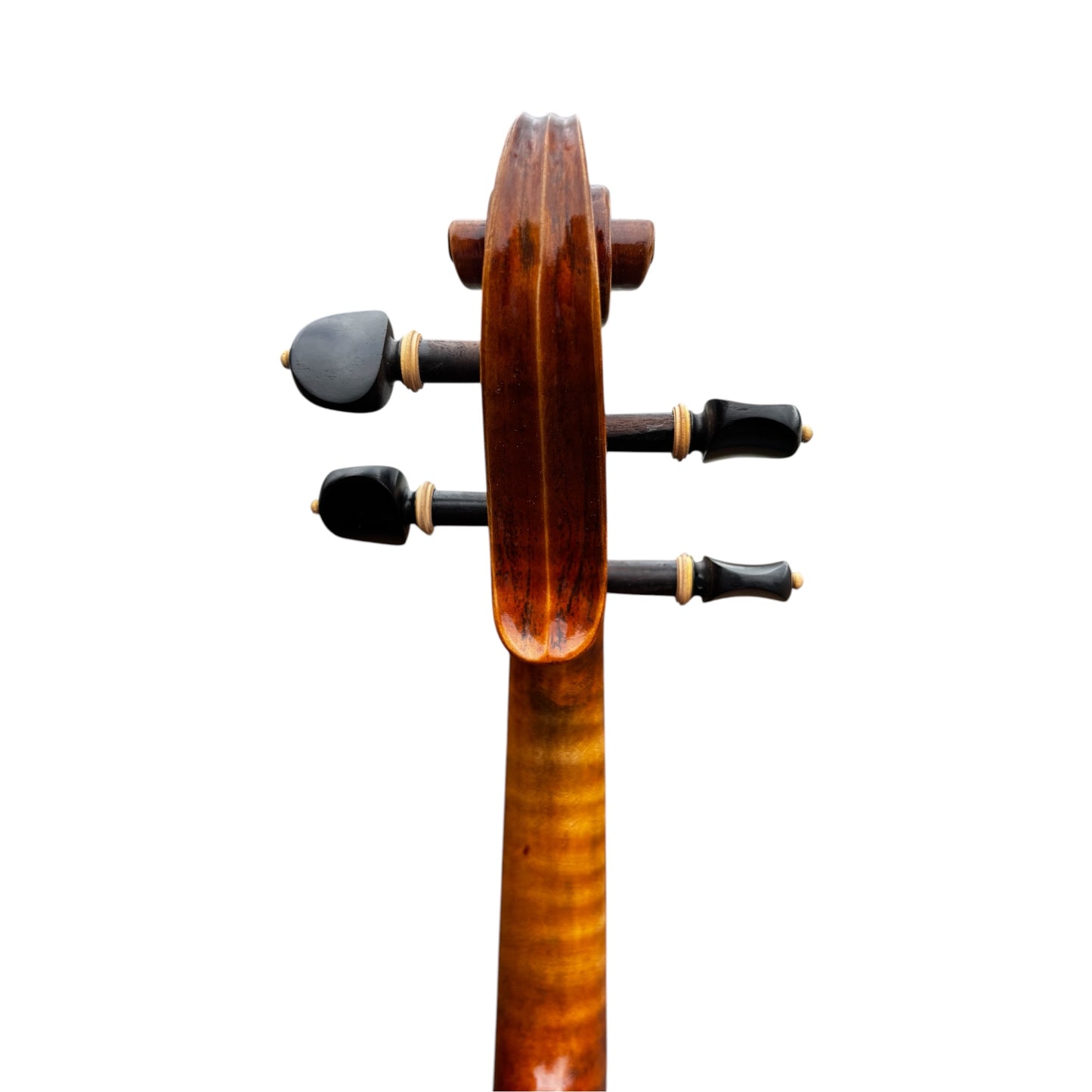 Locatelli 4/4 Violin Set - Kiltra Music Shop