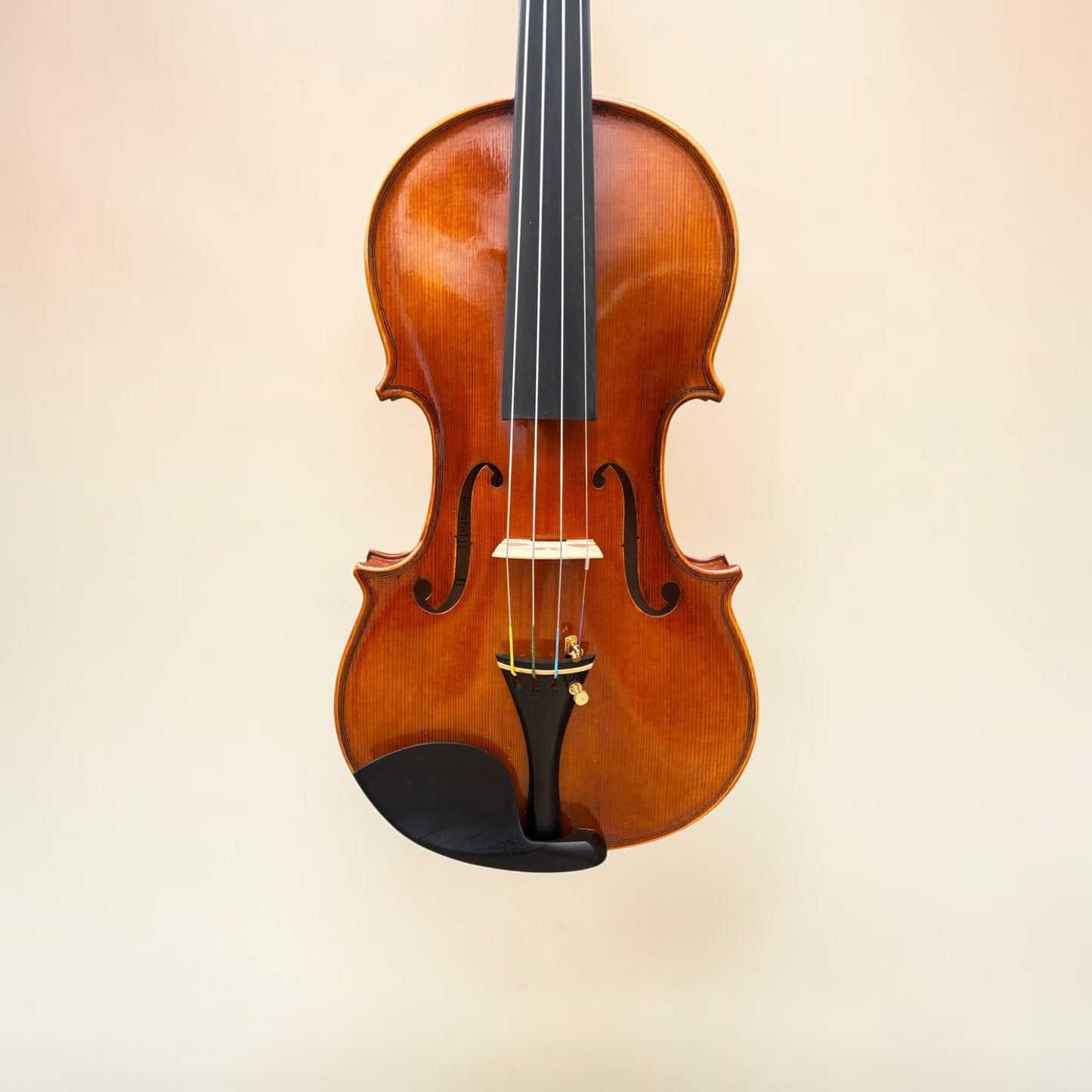 Locatelli 4/4 Violin Set - Kiltra Music Shop