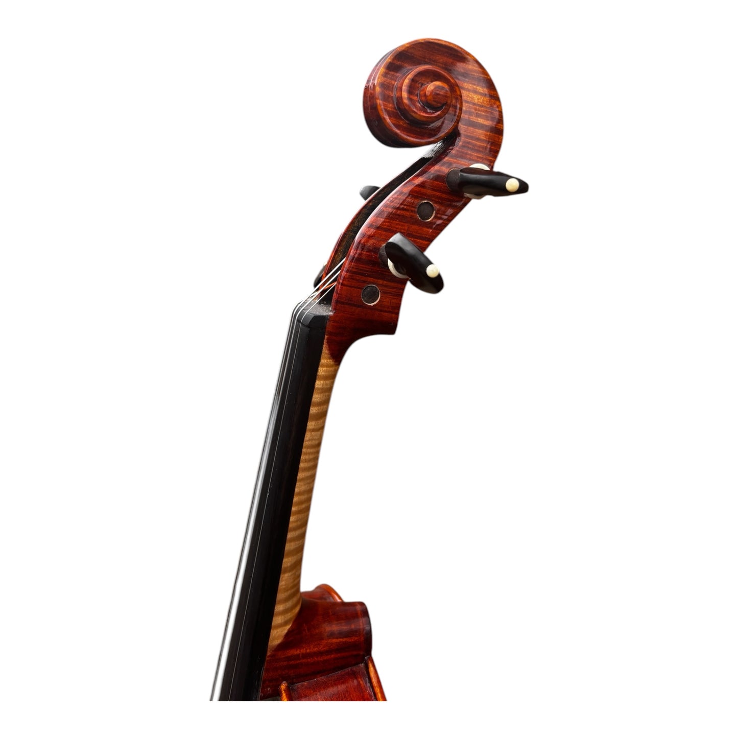 Tartini 4/4 Violin Set (Premium Handmade) - Kiltra Music Shop