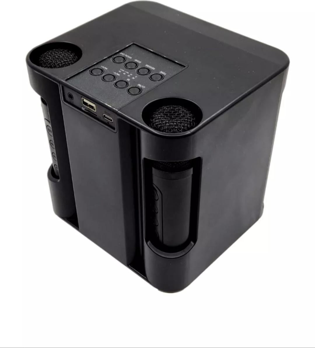 Wireless Bluetooth Karaoke Machine with Speakers and dual microphones
