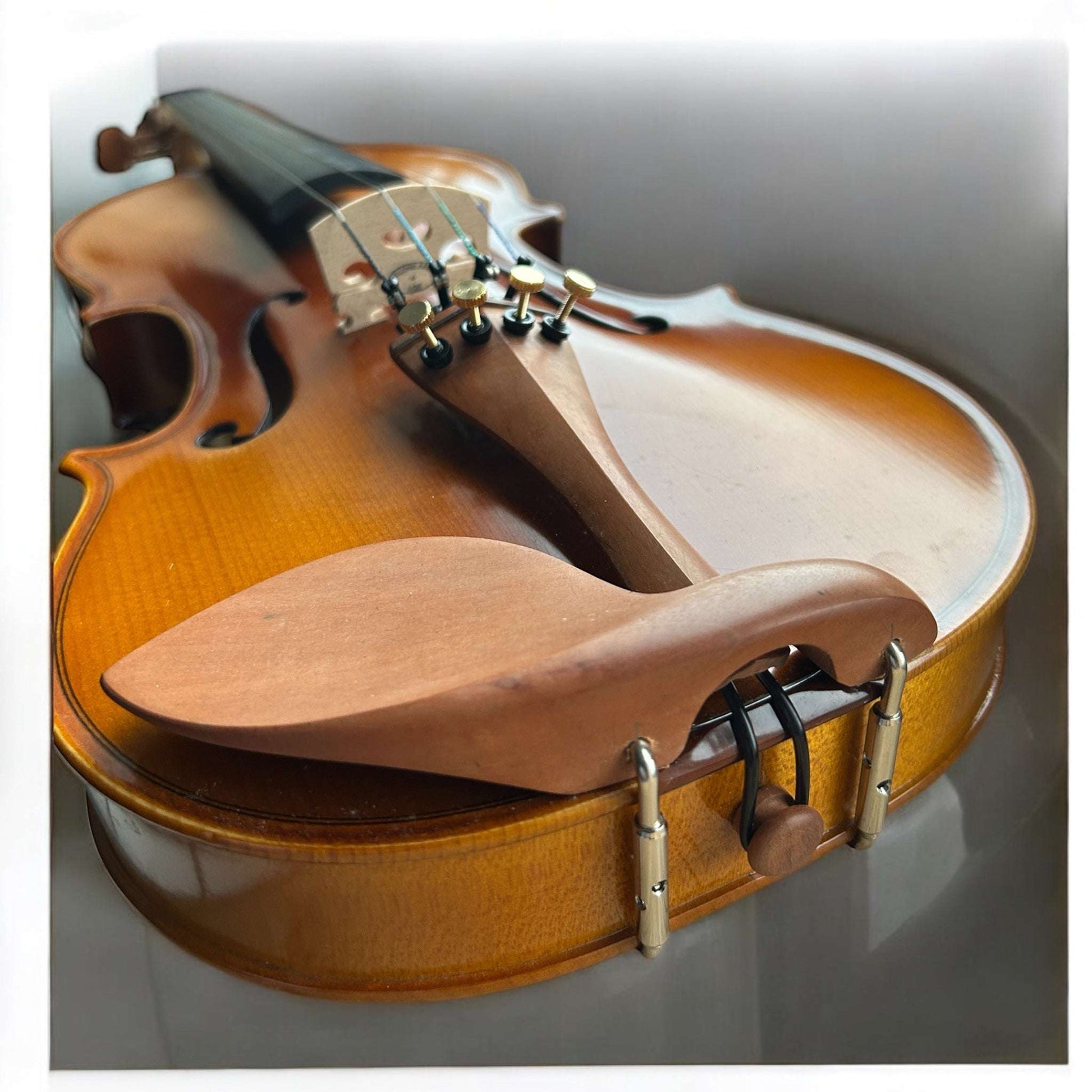 Kiltra Corelli violin front view (student model)
