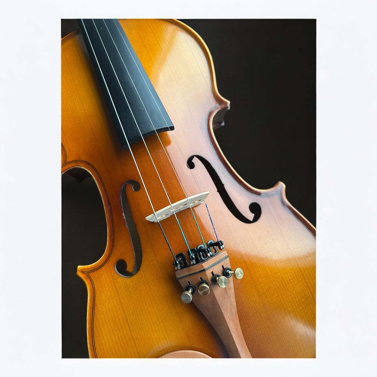 Kiltra Corelli violin front view (student model)
