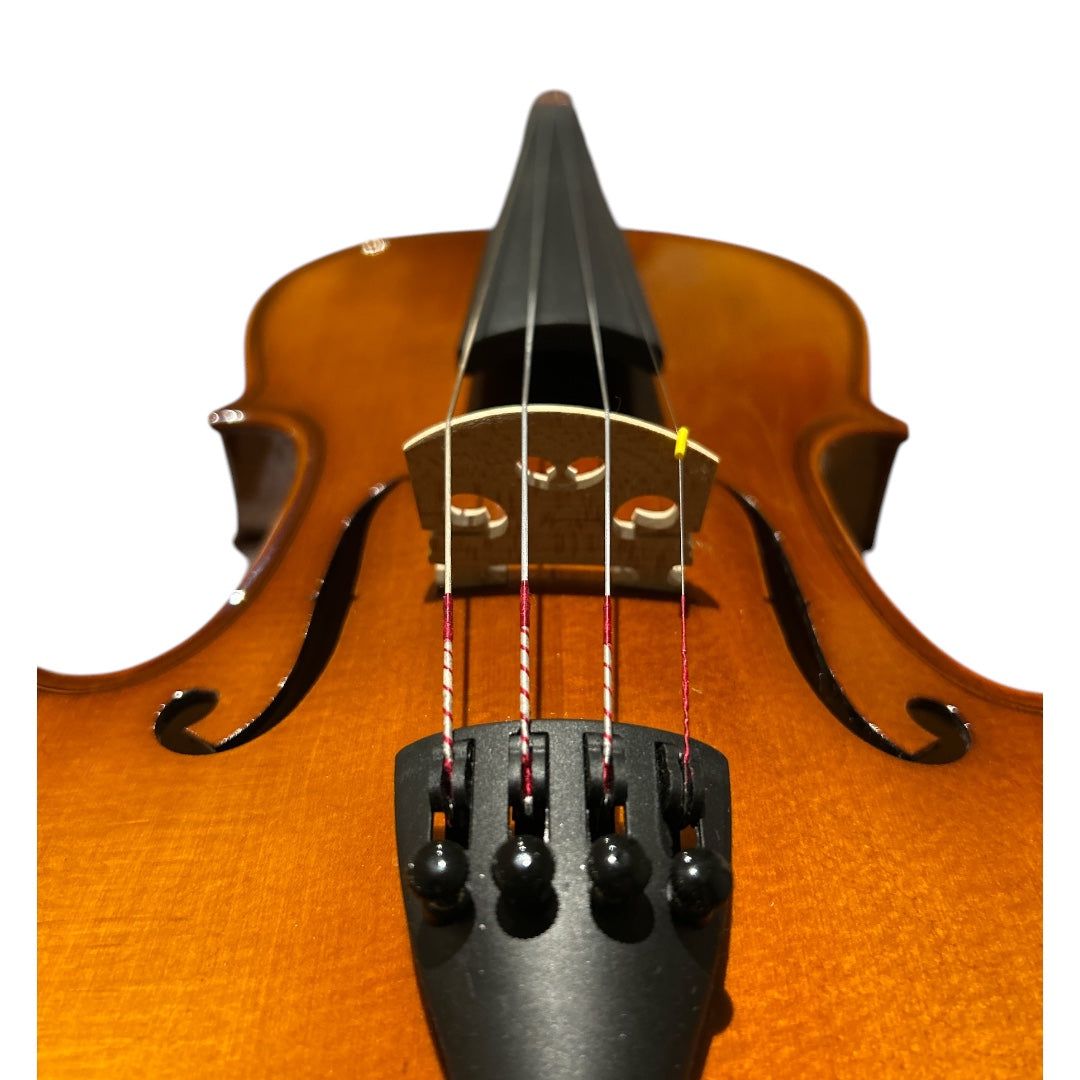 Kiltra Fiorillo violin front view (student upgrade)
