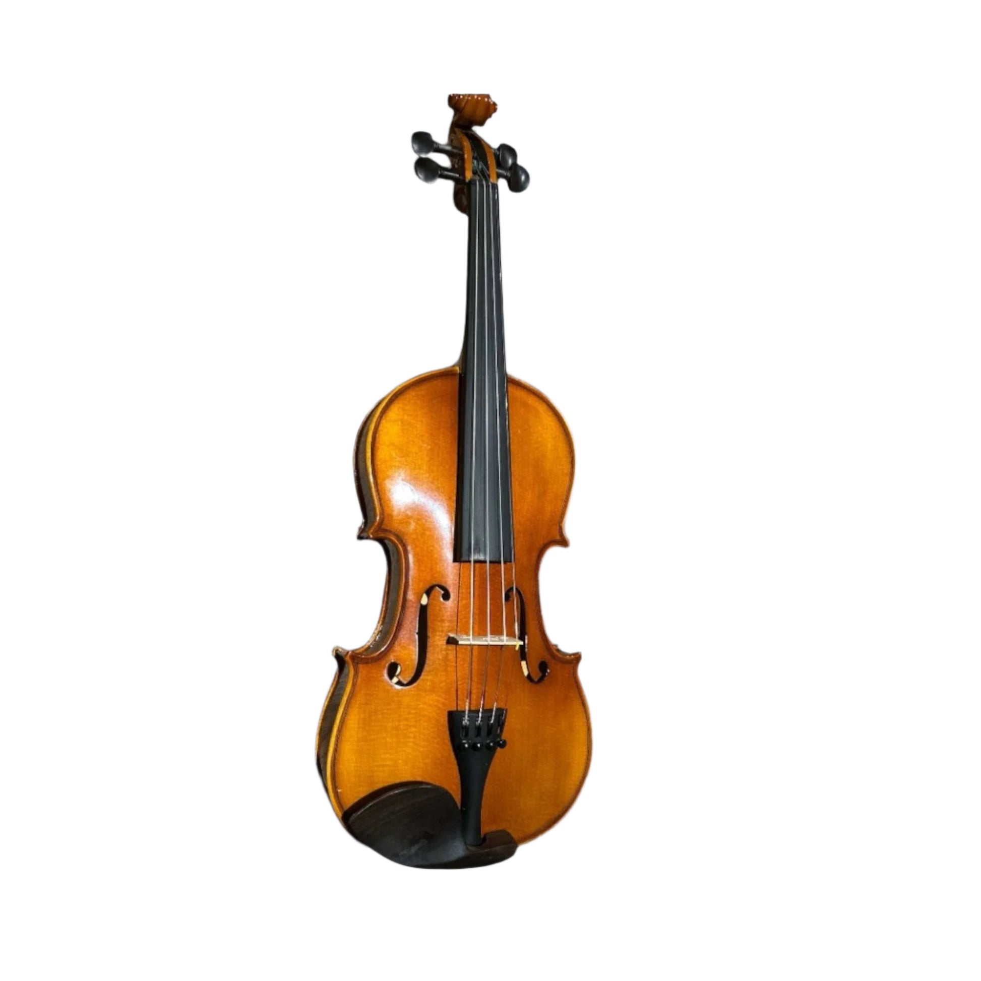 Kiltra Fiorillo violin front view (student upgrade)

