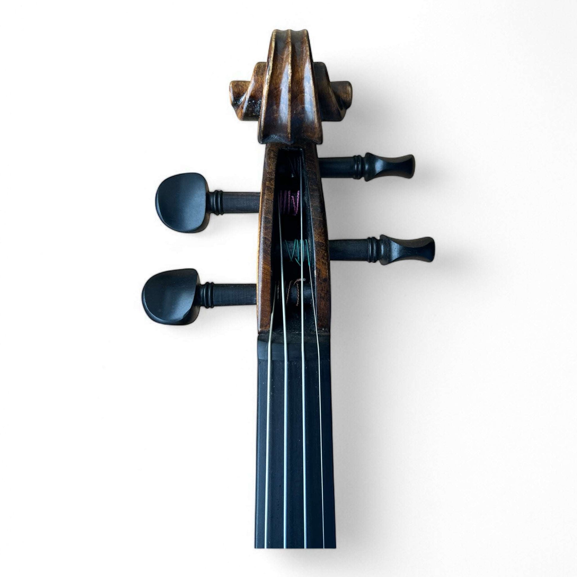 Kiltra Geminiani violin front view (intermediate model)
