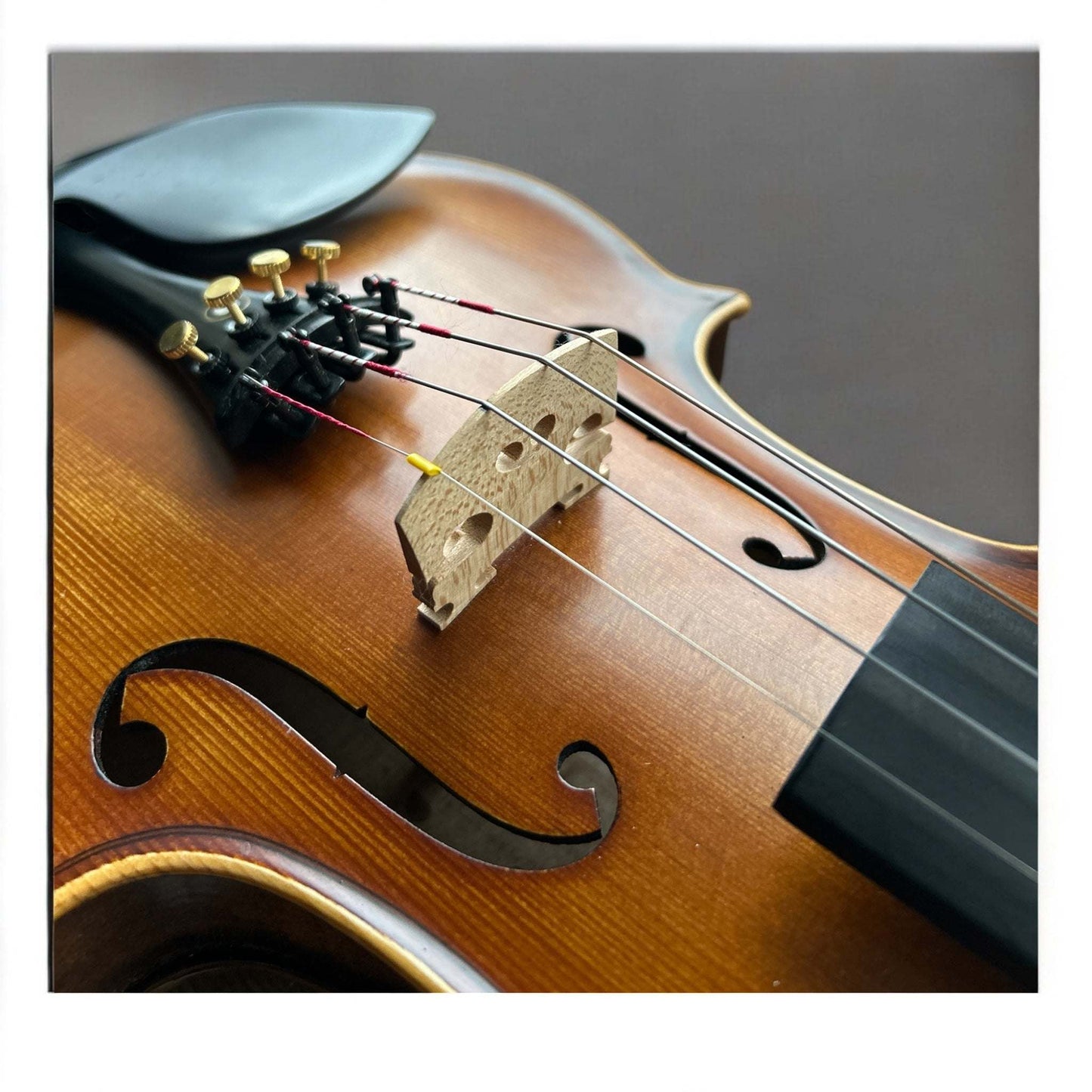 Kiltra Geminiani violin front view (intermediate model)
