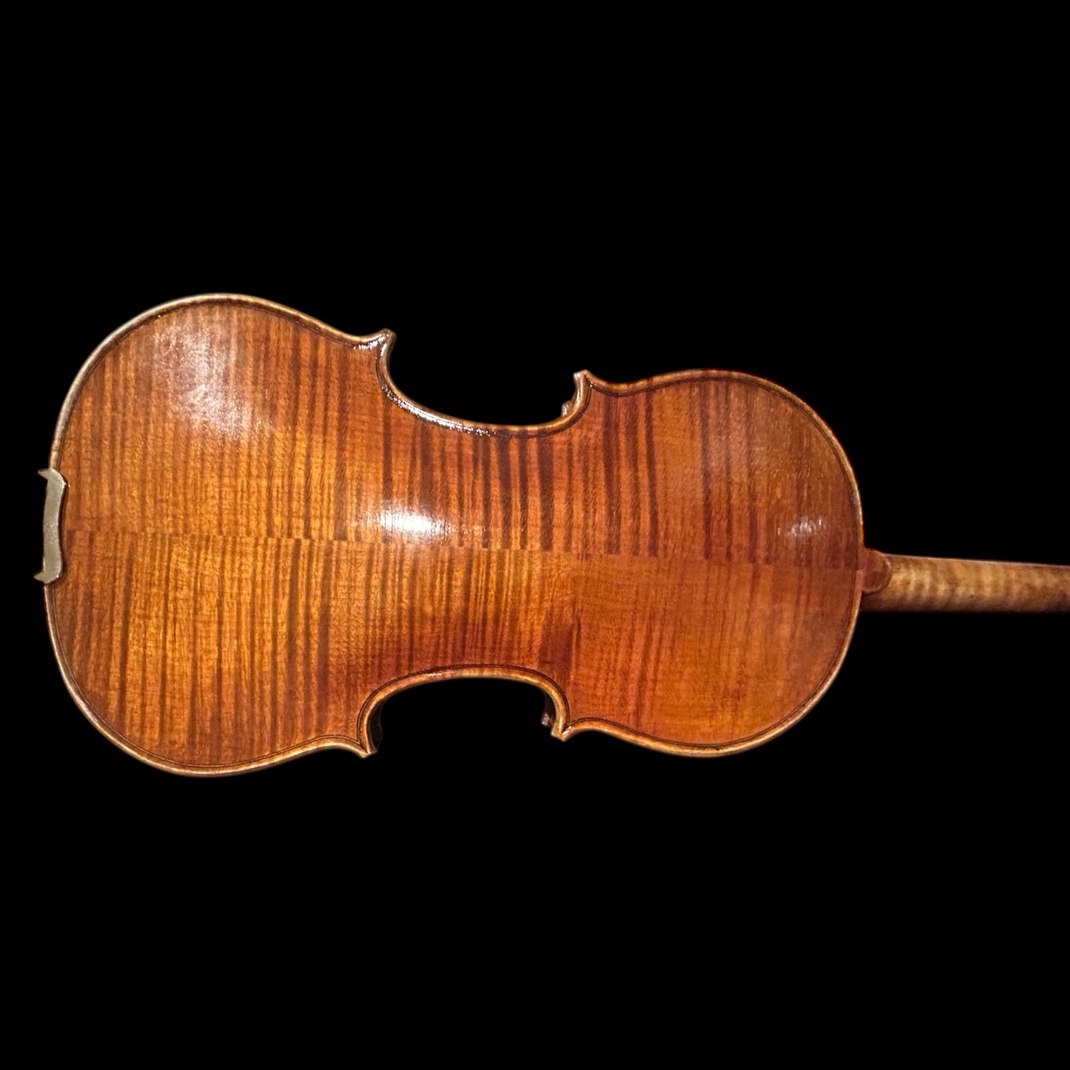 Kiltra Locatelli violin back view (advanced student upgrade)
