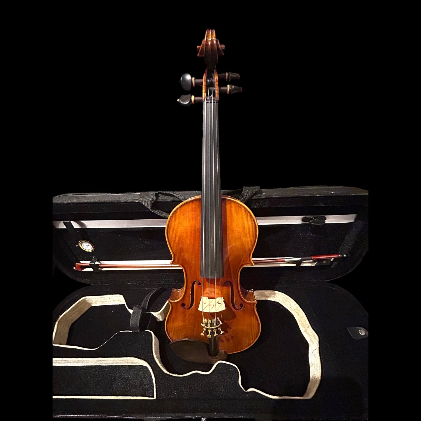 Kiltra Locatelli violin front view/case (advanced student upgrade)
