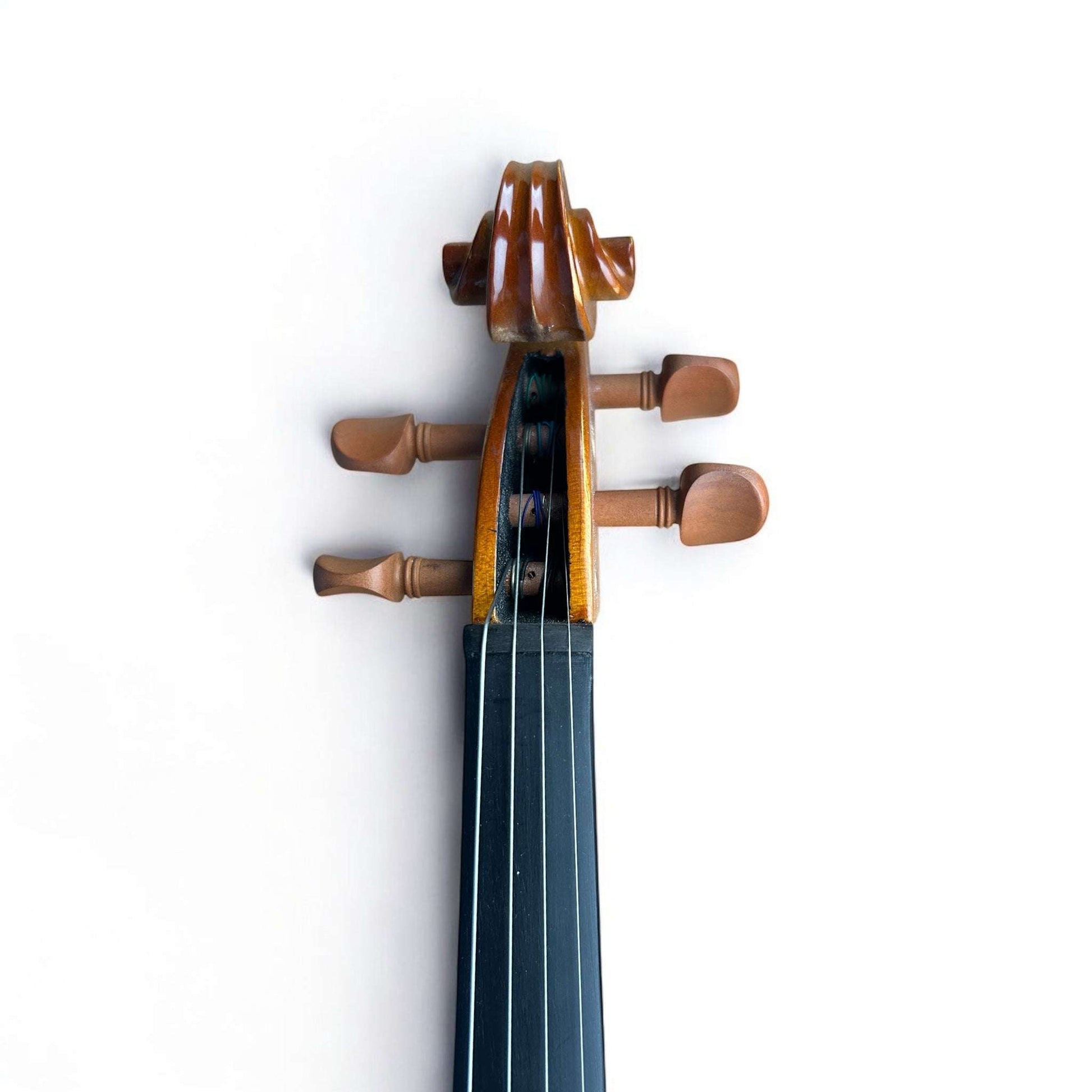 Kiltra Corelli violin front view (student model)
